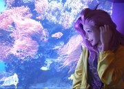 开云体育入口-黄衫军团的两重天，B组烽烟里，莱万如何用非典型犀利为阿联酋凿开南美壁垒