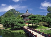 开云体育登录-中亚风暴，2026世界杯G组暗夜惊雷，乌兹别克斯坦如何用铁血与智慧掀翻三狮军团