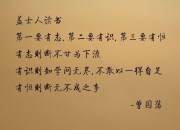 开云官网-绿茵铁壁，2026世界杯E组关键战，厄瓜多尔如何用钢铁防线击碎五星巴西的晋级之梦