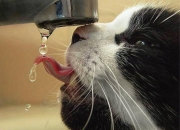 开云体育中国-双线掌控，F1轮胎嘶鸣与英格拉姆指尖的叙事之夜