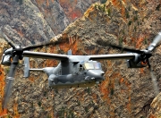 开云体育中国-雄鹿末节狂飙击溃魔术，布伦森天王山之战独舞麦迪逊