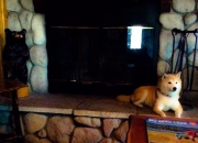 开云下载-欧冠淘汰赛之夜，迪亚斯独舞于风暴中心