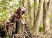开云体育在线-绿茵场东决夜，厄德高存在感拉满的艺术