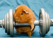 开云体育-平行宇宙的MVP，当哈登在英超争冠战中后撤步三分