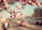 开云体育-冰与火之歌，当NBA总决赛遭遇芬兰式逆袭