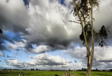 开云sport-世界排名争夺战焦点战，塔图姆绝杀！绿衫军上演本赛季唯一答案