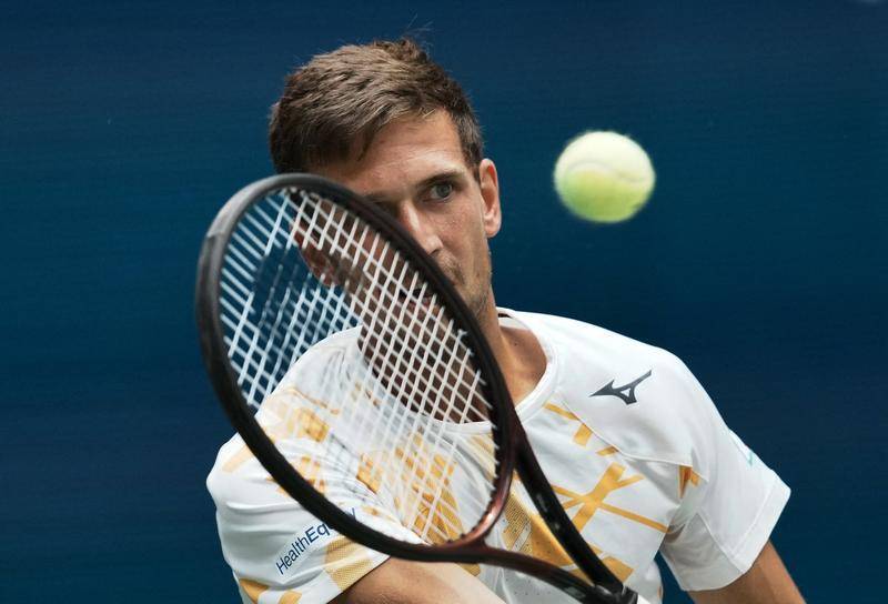 关于捷克网球选手在比赛中攻城略地的信息