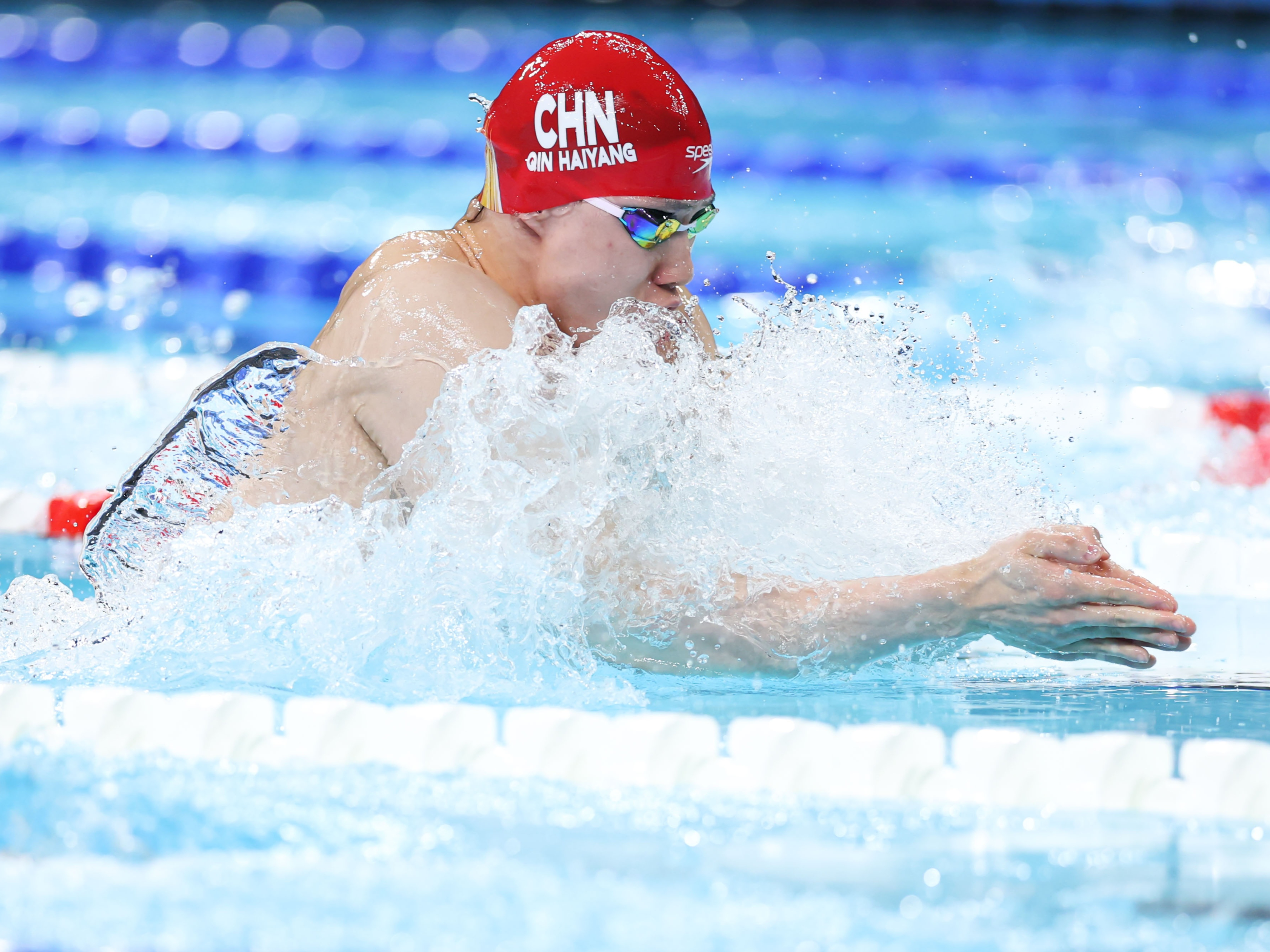 世界赛舞台，游泳代表国家出征荣耀的简单介绍