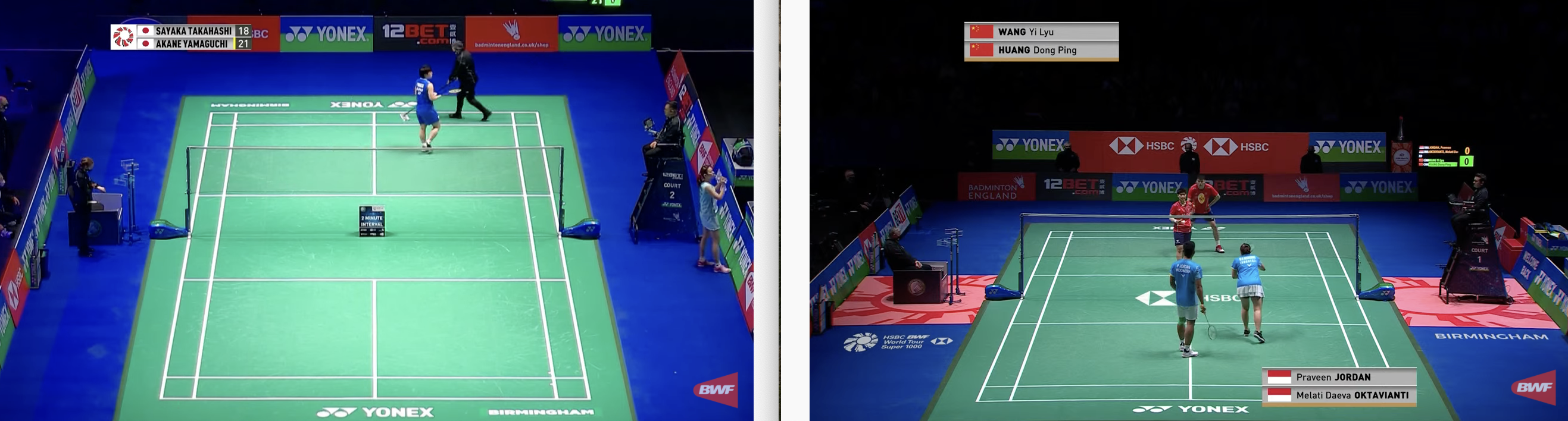 专家预测羽毛球胜率超六成，结果成焦点的简单介绍