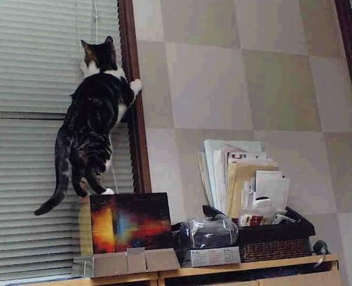 点球决胜！拉什福德一锤定音，英格兰险胜南非晋级决赛 硬仗之王再度封神