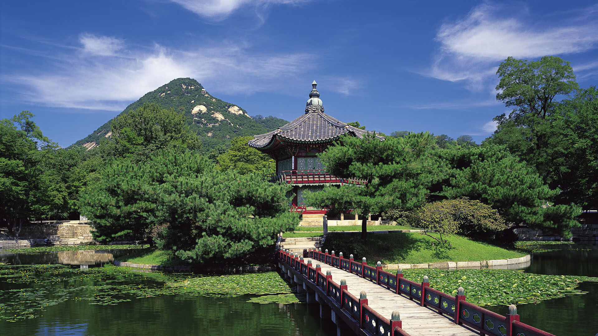 无解!骑士铁壁粉碎湖人三巨头,一文看懂戈贝尔如何改写空砍群法则