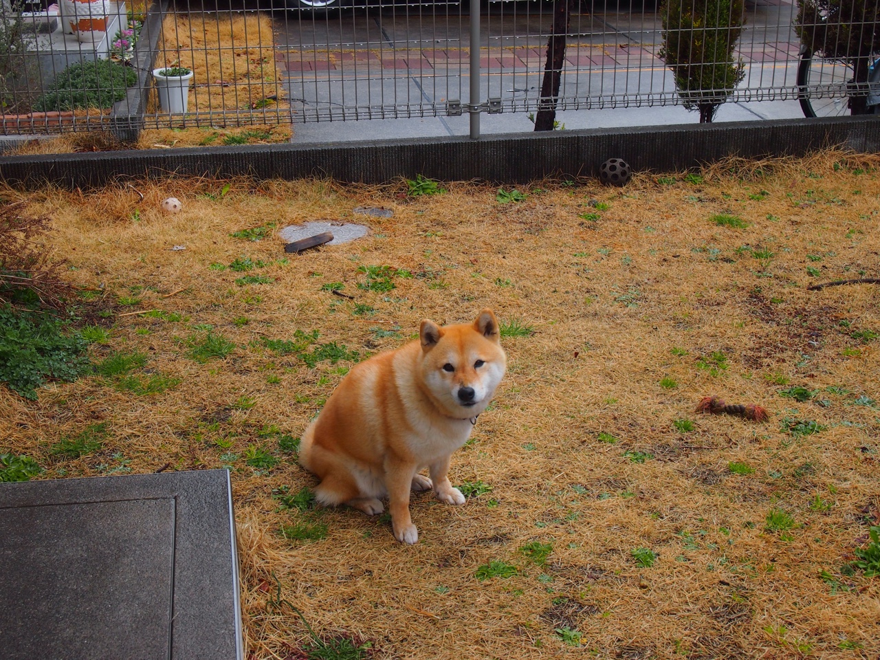 虚拟入侵,当CBA广东队跨次元翻盘NBA骑士,恩比德却在总决赛觉醒