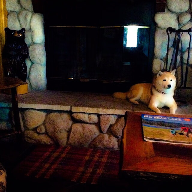 欧冠淘汰赛之夜,迪亚斯独舞于风暴中心