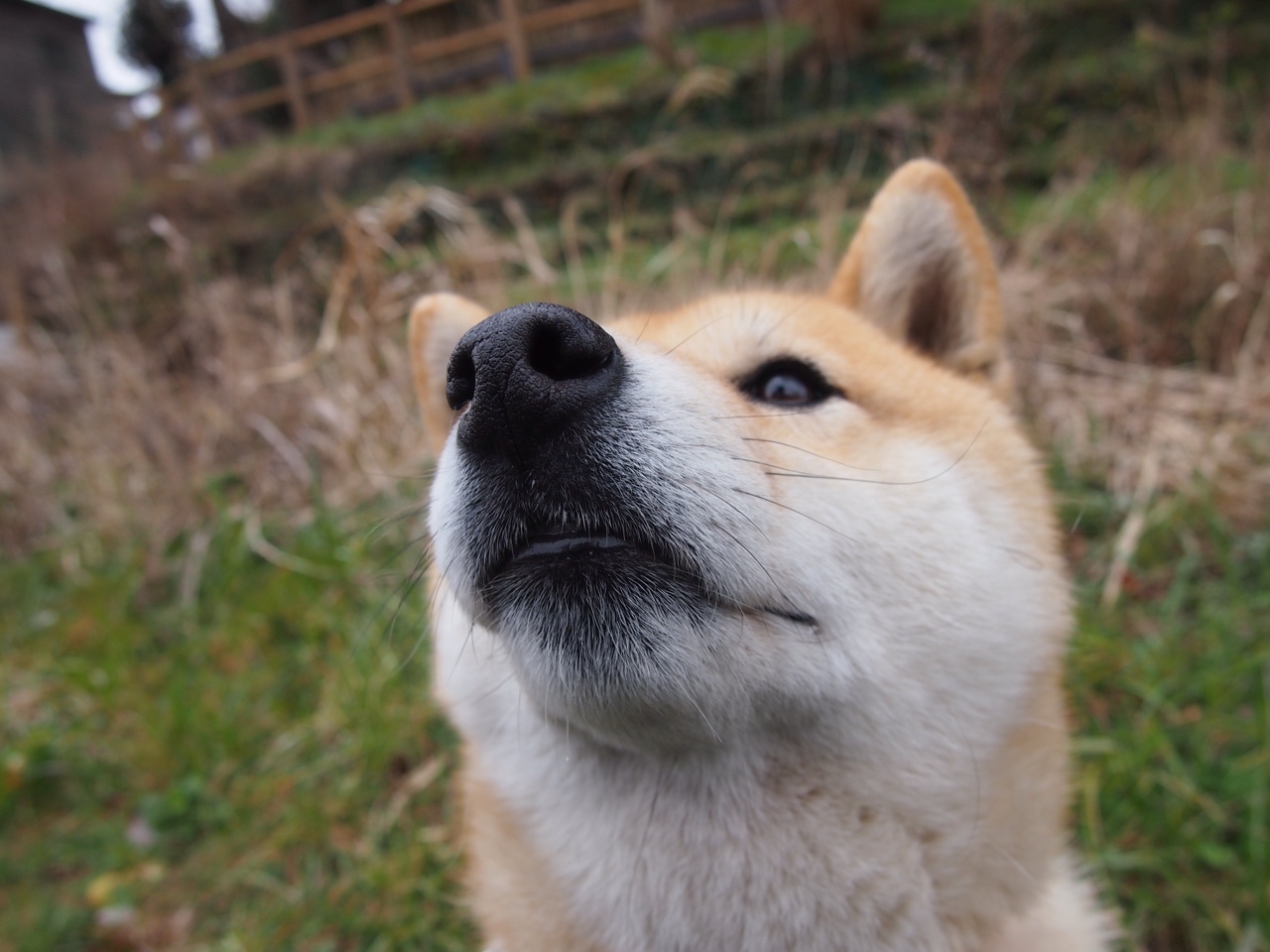 子夜绽放奥运关键夜,从撕裂伤疤到编织王冠,克莱的冰与火救赎