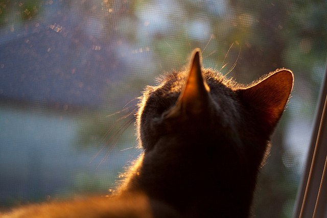 传奇书写夜,乔治一球定义顶级巨星对决