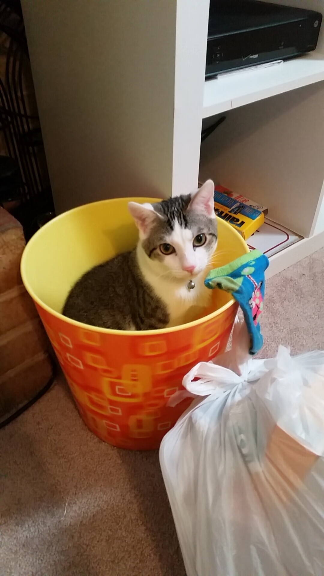 意甲绿茵场上的篮球绝杀，广厦队跨界绝杀爵士