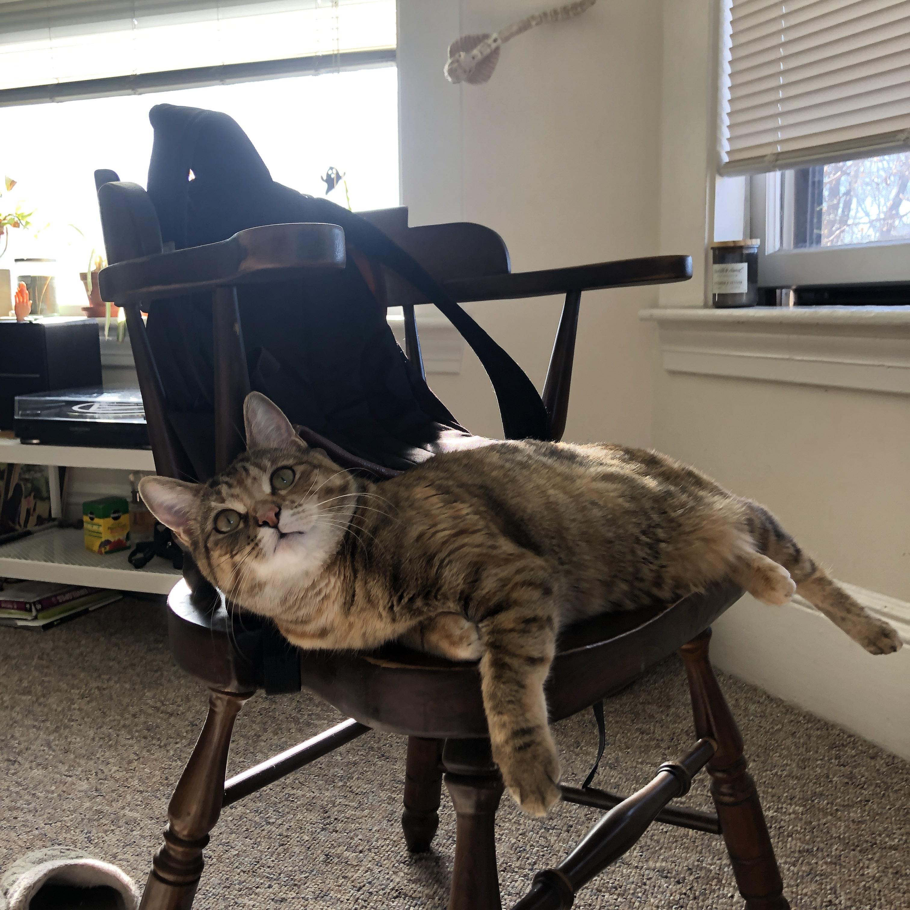 寒冰屏障，广东队用钢铁防守冻结独行侠烈焰