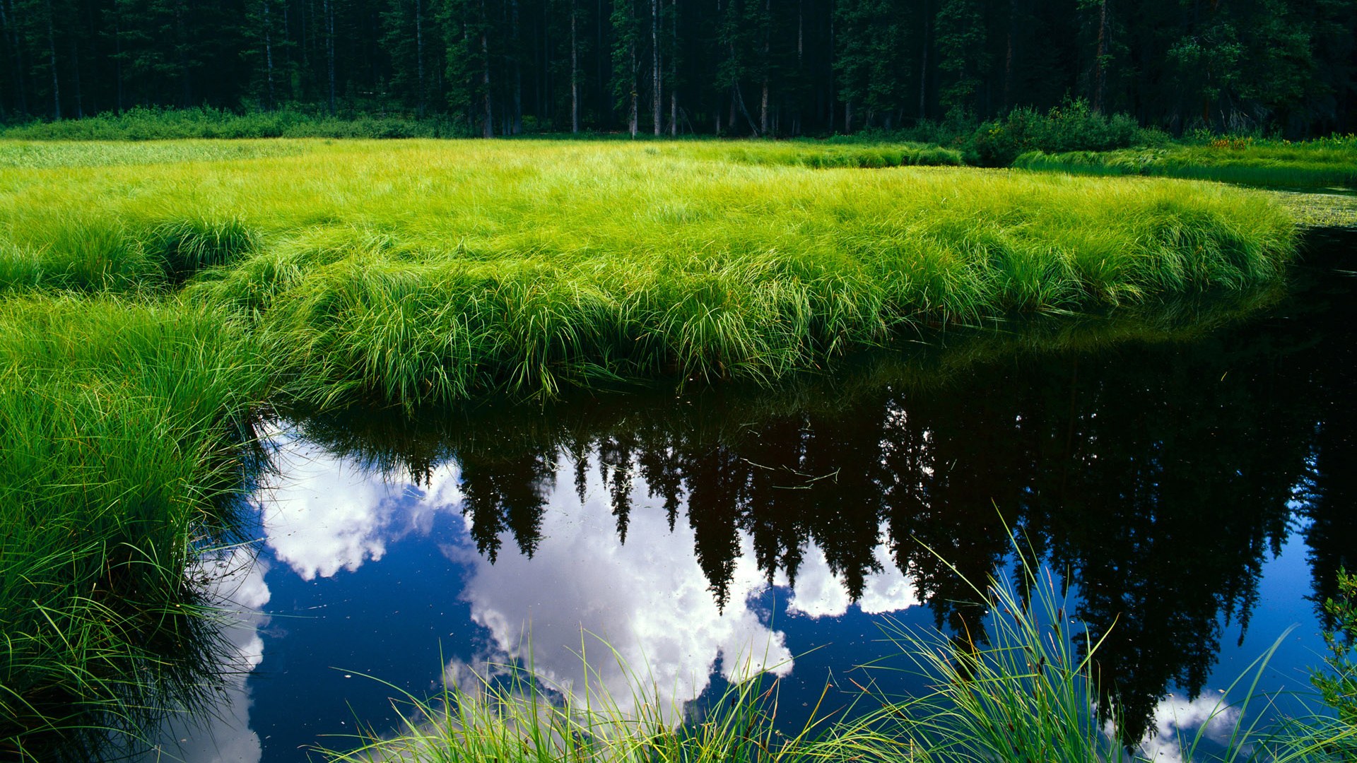 当法甲遭遇沙漠豪阵,阿圭罗在雷恩的告别演出,何以引爆银河系级数据?