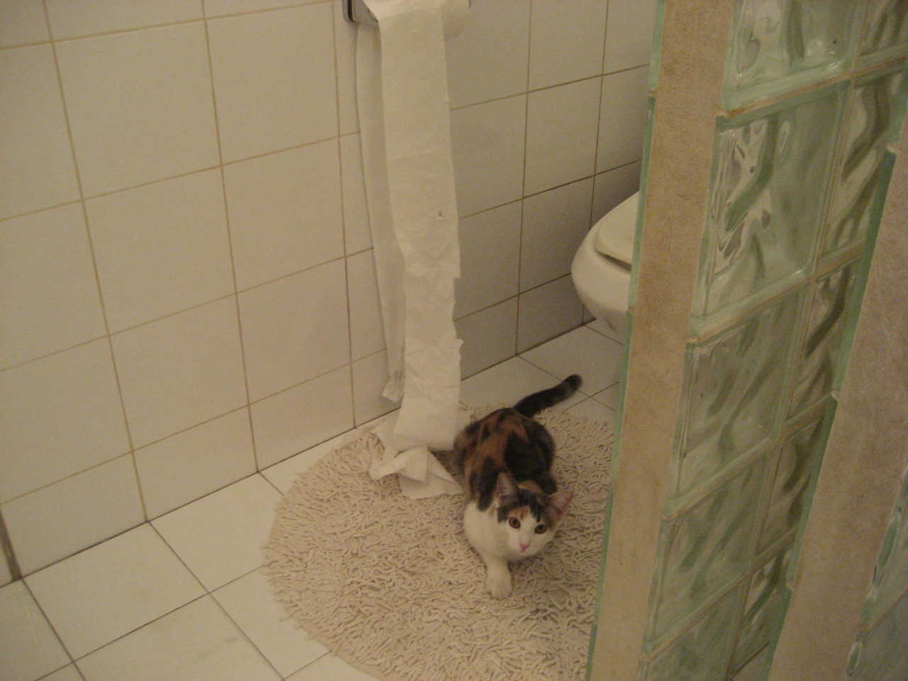 1.动态新闻式，锋刃出鞘！摩纳哥客场2-1力克瑞士劲旅，迪亚斯两度手术刀助攻主宰战局