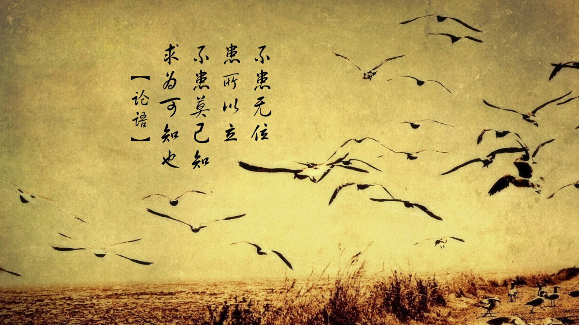 绿茵平行线,当德甲巅峰战遇见毕尔巴鄂友谊赛,再看玻利维亚足球的远方