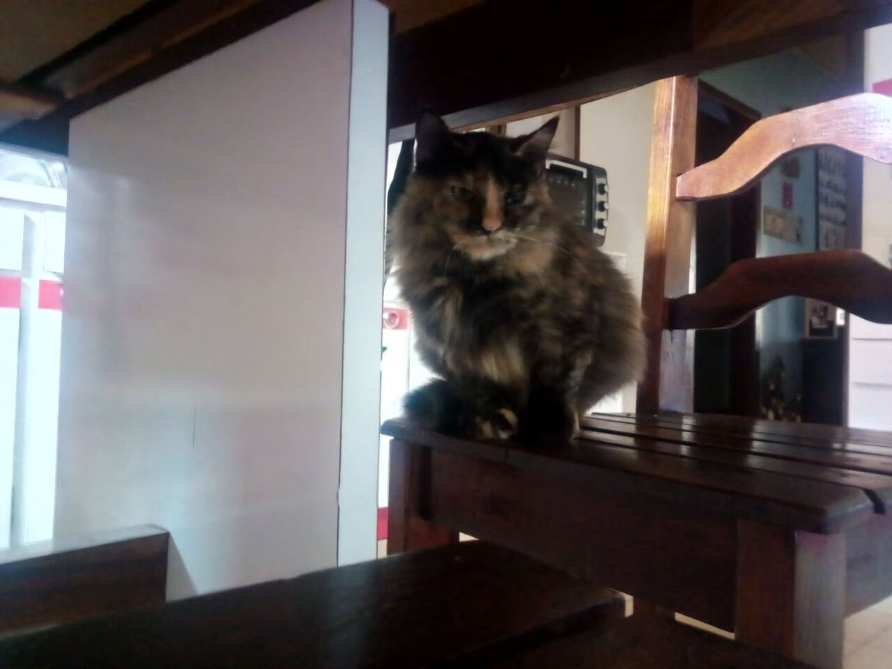 欧冠新秩序,雷恩弑神夜如何轻取西班牙巨人