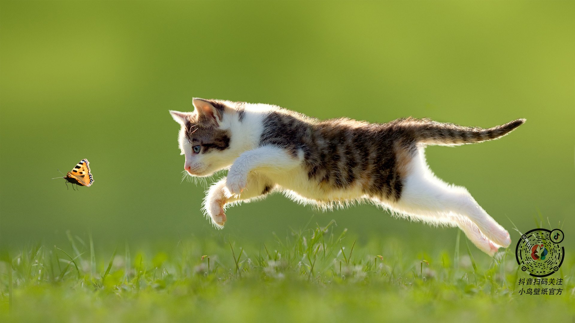 跨界掀翻!杜兰特末节19分化身死神,广东爆冷击败NBA爵士队