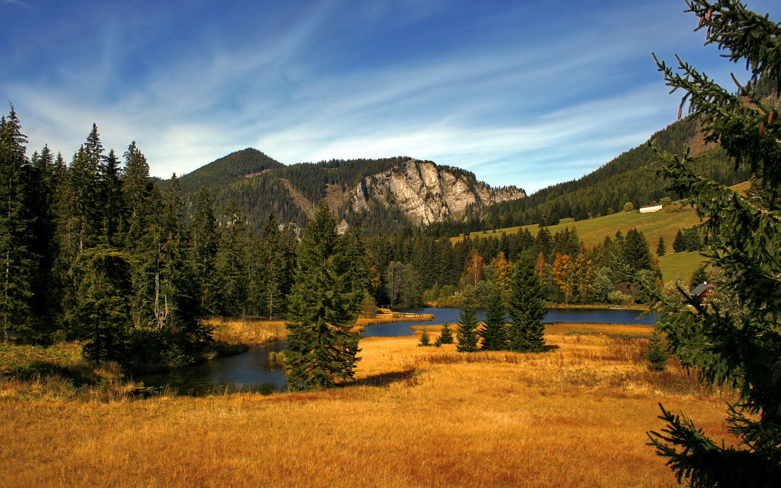 绿茵场上的地缘博弈，伊拉克如何带走马里，奥斯梅恩化身关键先生