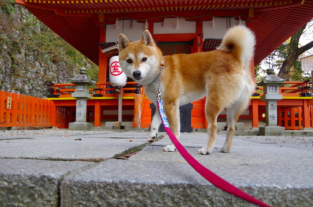 青铜色河流，当美加墨的工业心脏为加维的心跳让路