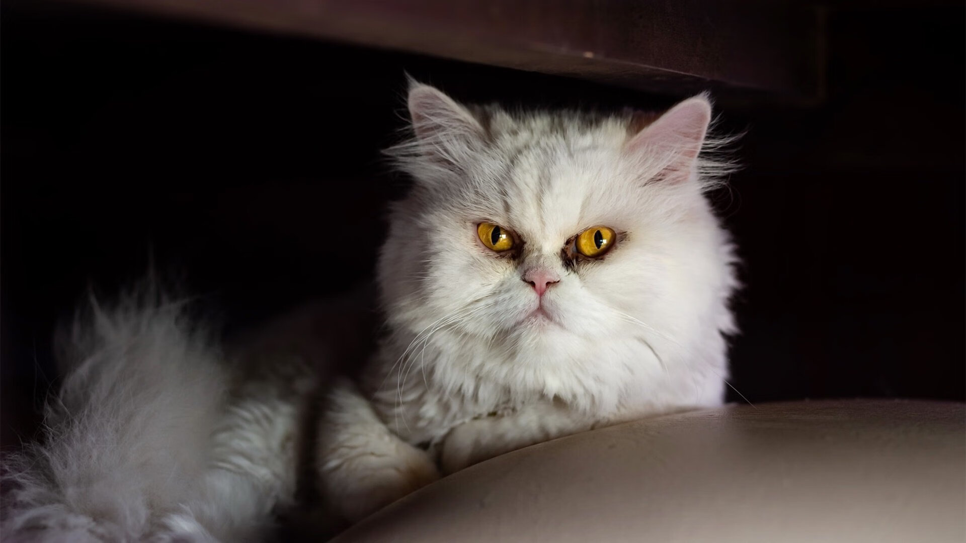 魔笛破局,雷恩绝境之下逆转利物浦,莫德里奇再显大师本色