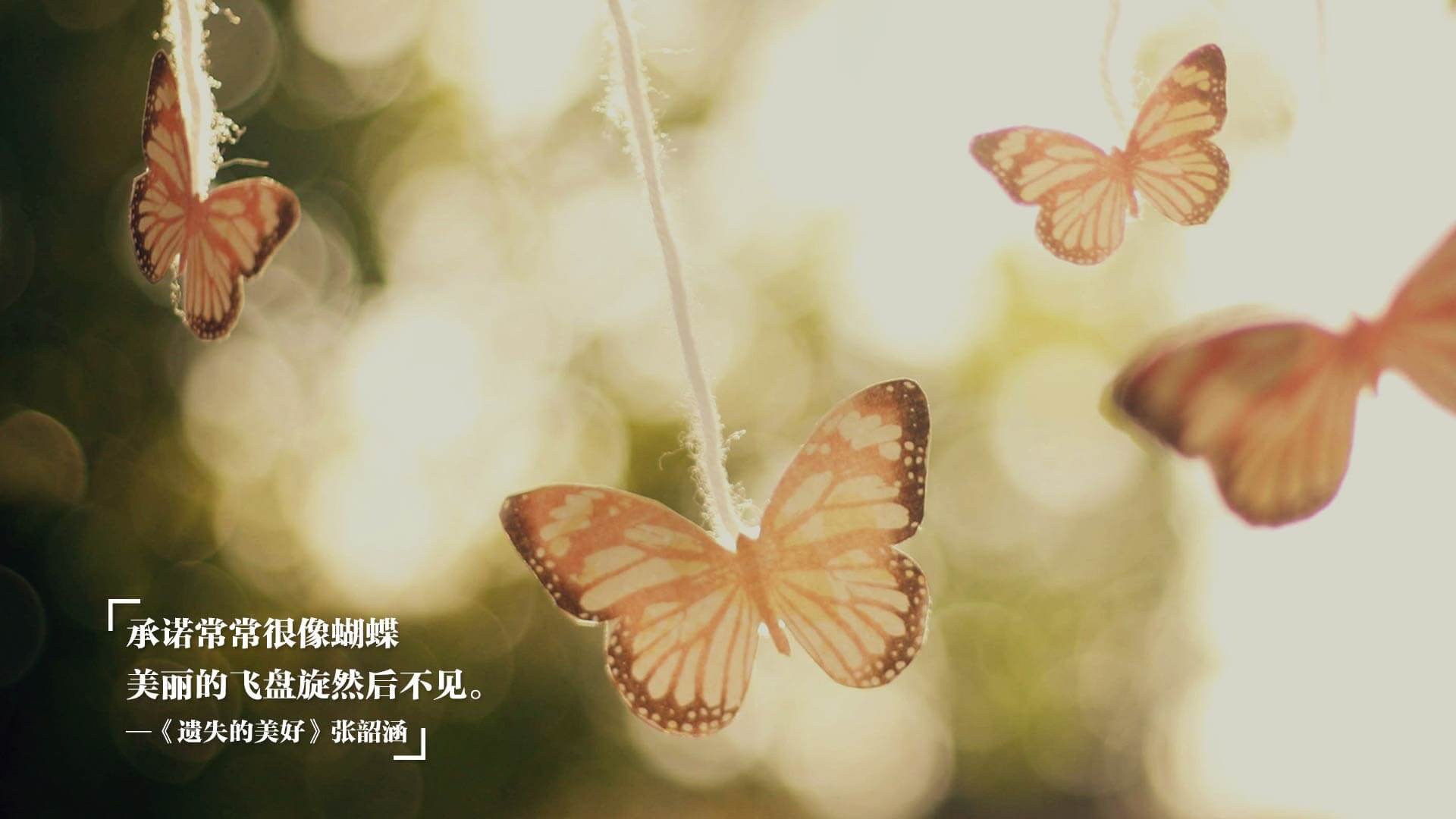 26连败阴影下，范弗利特挺身而出用42分凿穿亚特兰大防线