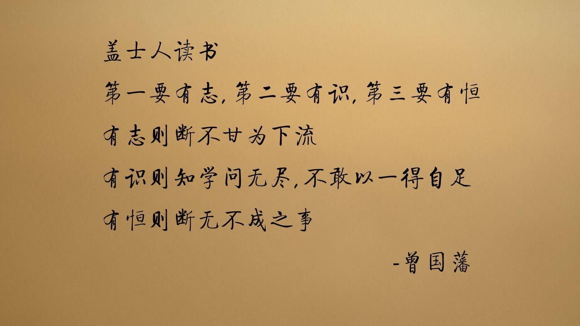 绿茵铁壁,2026世界杯E组关键战,厄瓜多尔如何用钢铁防线击碎五星巴西的晋级之梦